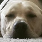 Troy Sterk - @troy.sterk - Instagram