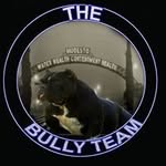 Troy Stine - @west_coast_bully_team - Instagram