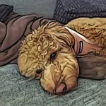 Troy Stout - @hippikiller35 - Instagram