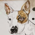 Troy Summey - @oneeyeddogphotography - Instagram