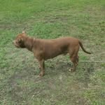 Troy Sutton - @troy.sutton.927 - Instagram