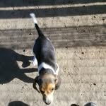 troy Sutton - @tsutton1308 - Instagram