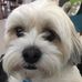 Mel Tarnowski - Facebook