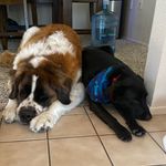 Titus and Troy - @titusandtroy - Instagram