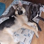Titus_and_Troy - @titus_and_troy - Instagram