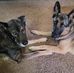 Troy Titus - Facebook