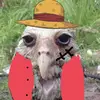 Troy - @troy.tomlin - TikTok