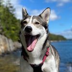 Troy Townsend - @cachemonkey - Instagram