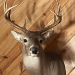Troy Townsend - Facebook