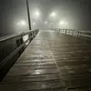 Troy Tran - @troy.tran - TikTok