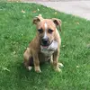 troyupton798 - @troyupton798 - TikTok