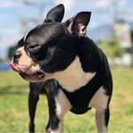 Troy Valencia 🐾 - @troyvalenciar - Instagram