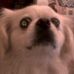 Troy Vanderpool - Facebook