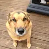 Troy Vanderpool - @troyvanderpool7 - TikTok
