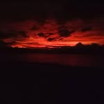 Troy Wardley - @troywardley - Instagram