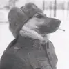 Troy - @troy.weiss0 - TikTok