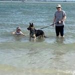 Troy Whitehead - @troy.whitehead.7 - Instagram