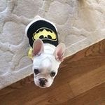Troy Whiting - @whitingtroy - Instagram