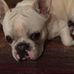 Troy Whiting - Facebook