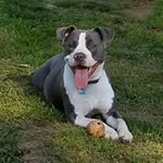Troy Willey - @tinman61 - Instagram