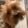 Snoozy-baton - @troy.winters0 - TikTok