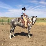 Troy Witt - @witt6733 - Instagram