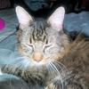 Troy Seemann - @troy.seemann - TikTok