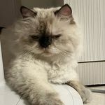 Truc Vu - @judytrucvu - Instagram