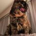 Trudi Berger - Facebook