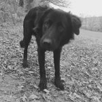 Trudi Brown - @styles1709 - Instagram