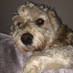 Trudi Brown - @browney72 - Instagram