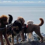 Trudi Brown - @trudi.brown.16 - Instagram