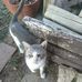 Trudy Brown - Facebook