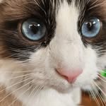Trudi Cook - @trudi1918 - Instagram