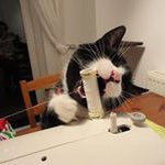 Trudi Cook - @tcdumpling - Instagram