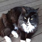 Trudi N Charlotte Cook - @trudincook - Instagram
