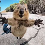 Trudi james - @trudijames8365 - Instagram