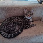 Trudi James - @james.trudi - Instagram