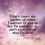 Trudi James - @trudijames1 - Instagram