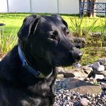 Trudi Porter - @trudiporterphotos - Instagram
