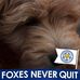 Trudi Porter - Facebook