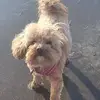 Trudi Roberts - @trudi.roberts - TikTok