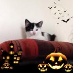 Trudy Evans - @trudyevans.458 - Instagram