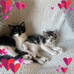 Trudy Evans - @trudy.evans.7543 - Instagram