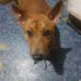 Toddie Todd - Facebook