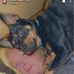 Trudie Lynn Todd Wilson - Facebook