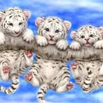 Trudy Baker - Facebook