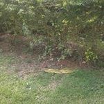 Trudy Baker - @trudy3805 - Instagram