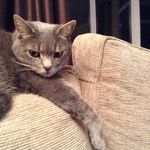 Trudy Baker - @trudy_baker5 - Instagram