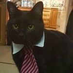 Trudy Baker - @trudy3848 - Instagram